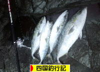 にほんブログ村 釣りブログ 四国釣行記へ